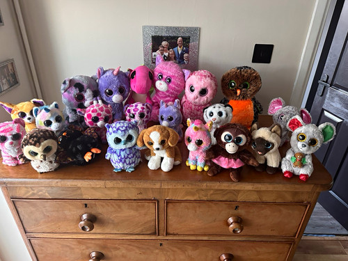 Beanie boos assorted animal - ty,