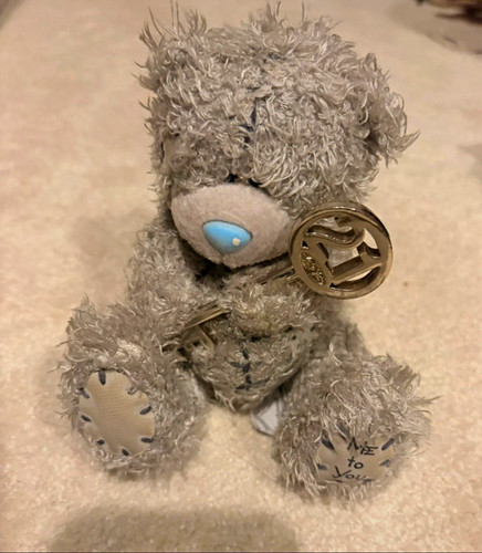 You tatty teddy grey - you,