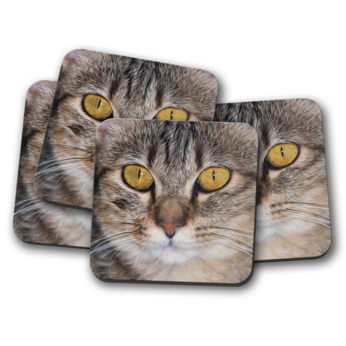 Set beautiful cats face - -,