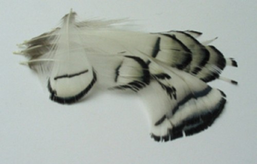 Lady amherst pheasant tippets - lady,