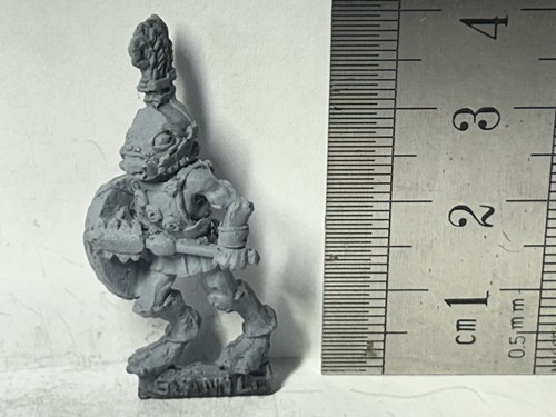 Citadel slann lieutenant - citadel,