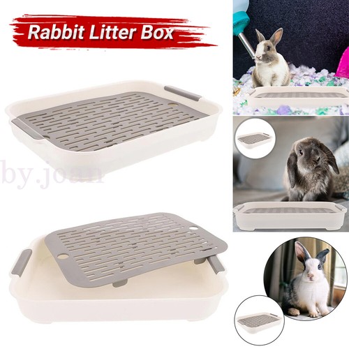 Rabbit litter box - litter,