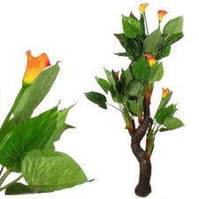 Large Tropical Calla Lily