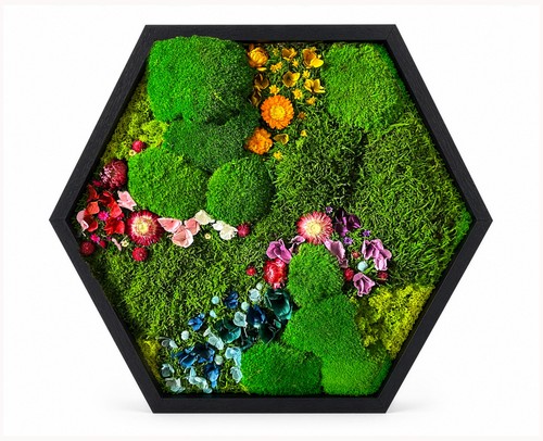 Personalised hexagon moss wall - personalised,