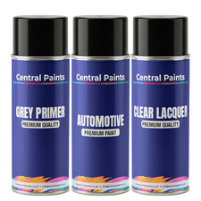 Central Paints Alloy Wheel