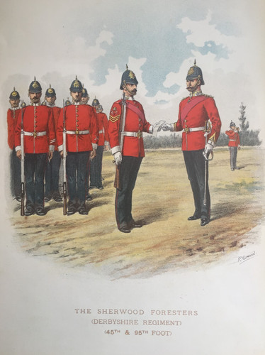 Antique print sherwood - print,