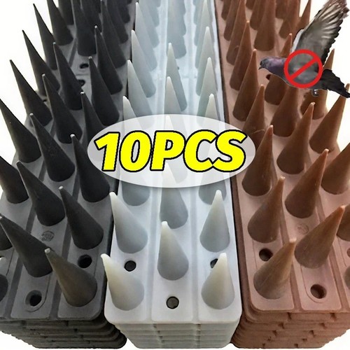 Bird fence wall spikes - fence,