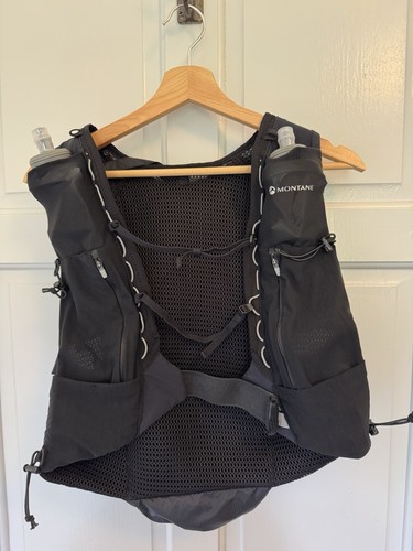 Montane gecko l running - vp,