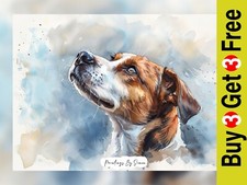 Heartwarming jack russell - russell, dog