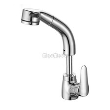 Bathroom Pull Out Sprayer Tap