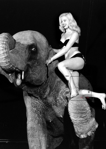 Diana dors art photography - diana,