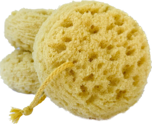 Exfoliating foam sea sponge - exfoliating,