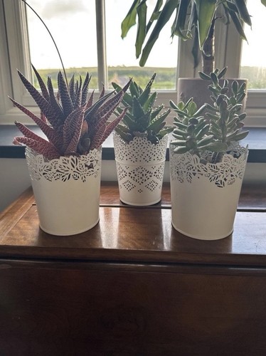 Ikea white metal plant pots - white,