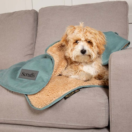 Scruffs pet snuggle - scruffs,
