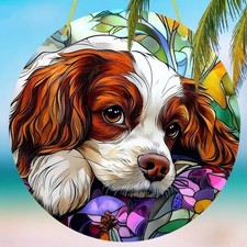 Cavalier king charles spaniel - king,