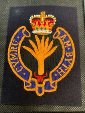 British Army Welsh Guards