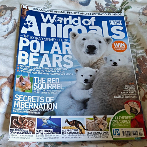 World animals 013 - world,