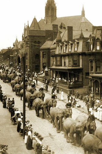 1910 circus parade 4x6 photo - parade,