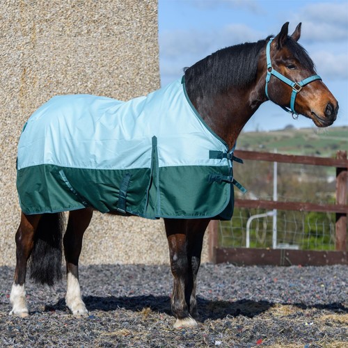 600d lightweight turnout horse - 600d,