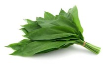 WILD GARLIC 50 LEAVES Freshly