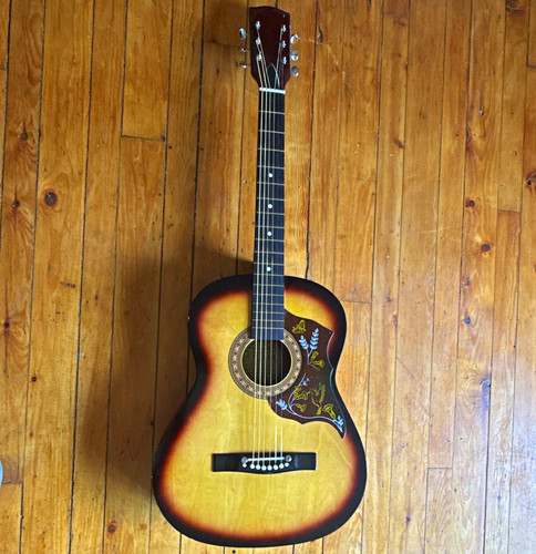 Sunburst parlor acoustic - parlor,