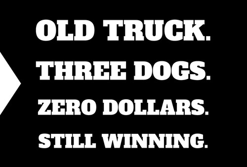 Old truck three dogs - truck., dogs"