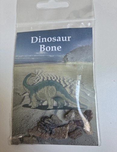 Genuine dinosaur bone fossil - genuine,