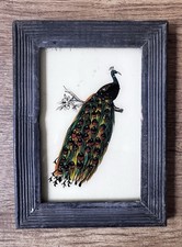 Indian Peacock Vintage Reverse
