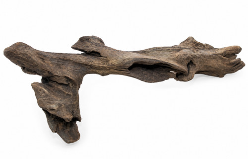 Natural aquarium driftwood - natural,