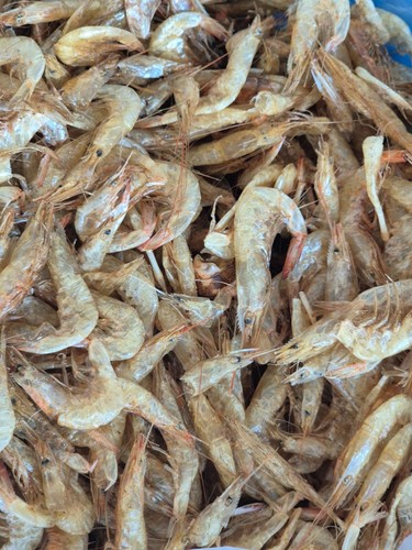 Fresh dried whole - fresh, crayfish