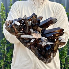 8.8LB Large Natural Smoky