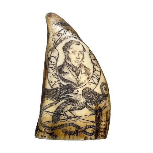 Resin faux whale - resin, tooth