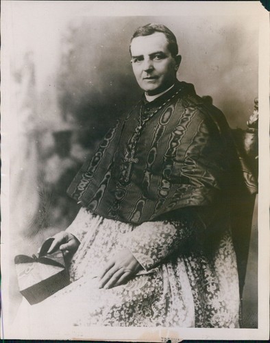 Cardinal wearing mozetta - cardinal,