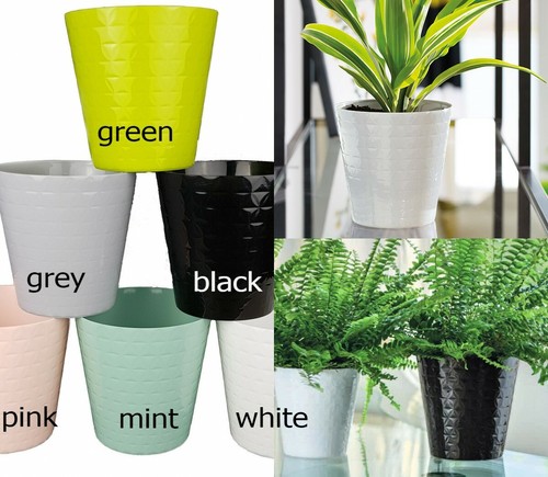Diamond cache plant pot - plant,