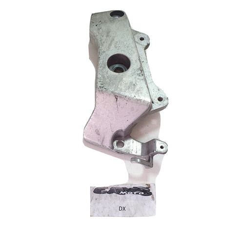 Honda hornet 600 2000 2001 - 600,