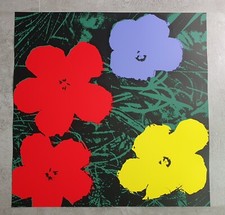 Flowers Poppy Series Sunday