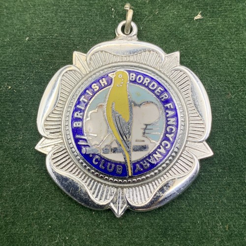 British border fancy canary - british,