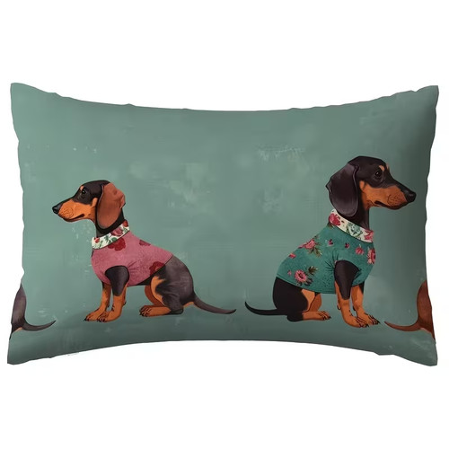 Lovely german dachshund - german,