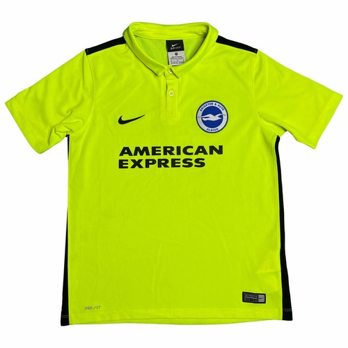 Brighton hove albion 2015 16 - albion, 2015/16