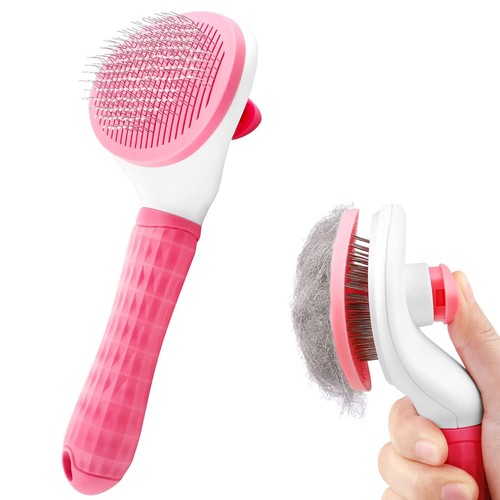 Cat dog brush pet grooming - pet,