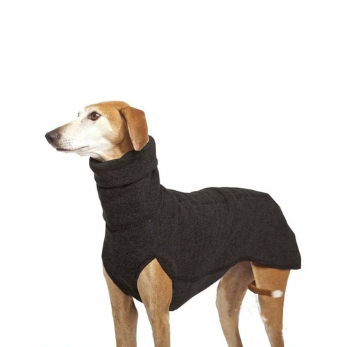 Pet dog winter high - pet,