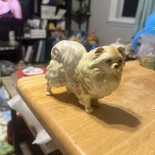 Pomeranian Porcelain Certdog