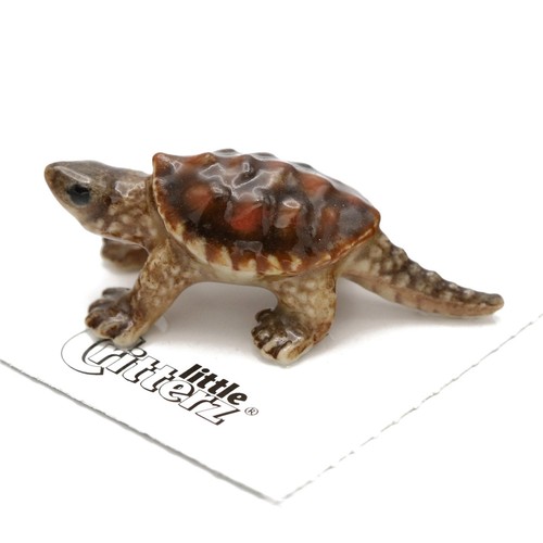 Little critterz snapping - critterz,