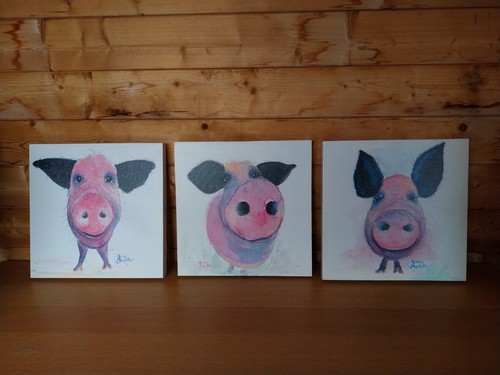 Shirley macarthur set pig - shirley,
