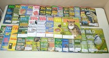 Huge Lot of 33 Wild Bird