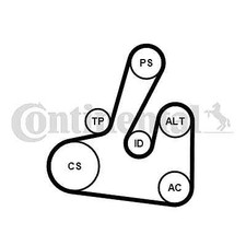 CONTINENTAL CTAM 6PK1705K2