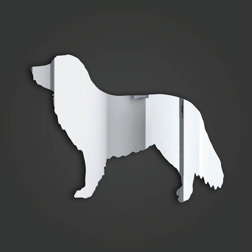 Duck tolling retriever - tolling,