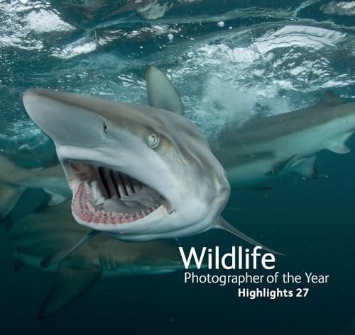 Wildlife photographer the - photographer, of
