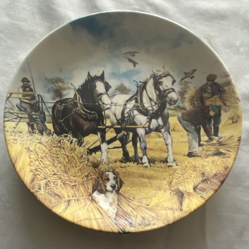 Danbury mint collectors plate - collectors',
