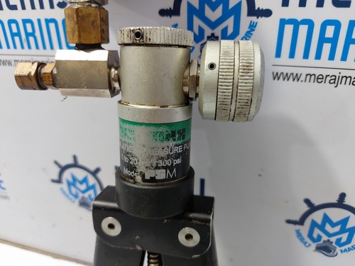 Beamex pgm calibration - pgm,